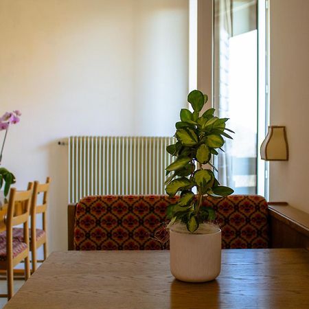 Locanda La Ruscoletta Telve エクステリア 写真