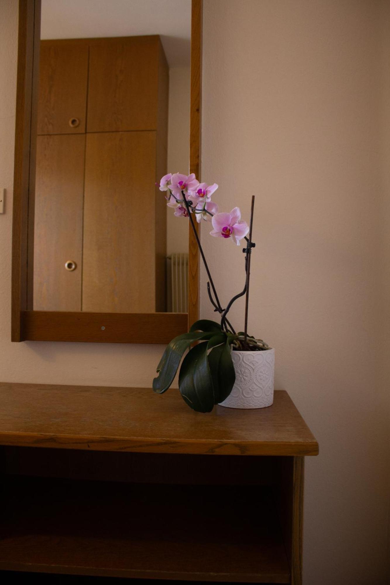 Locanda La Ruscoletta Telve エクステリア 写真