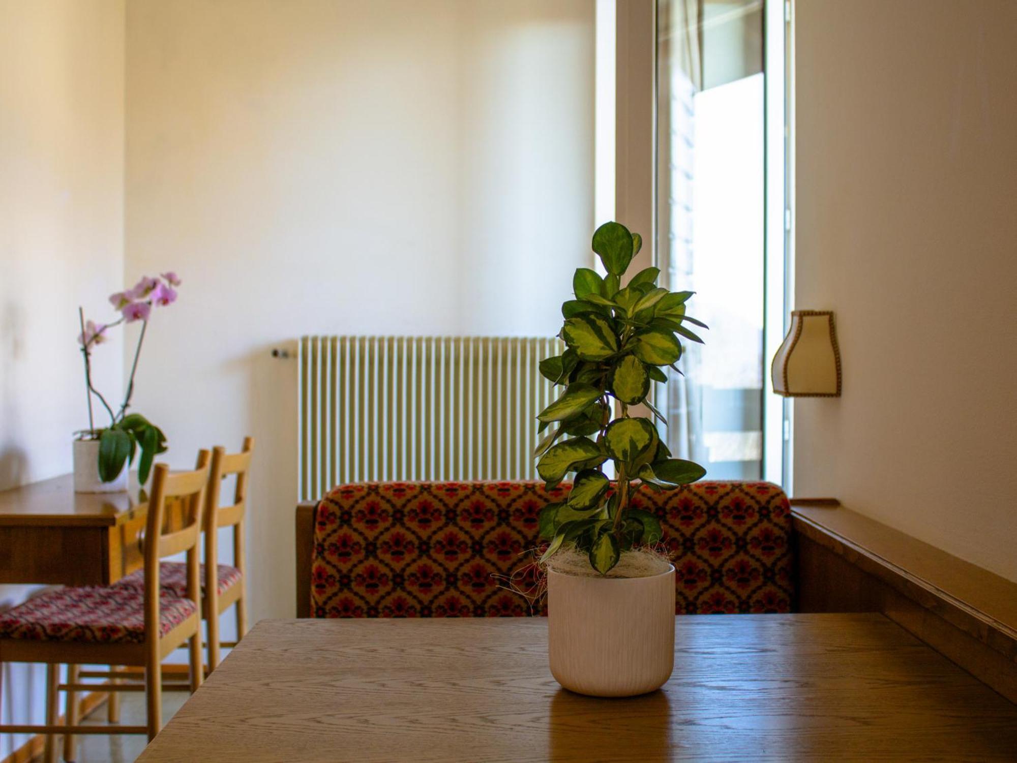 Locanda La Ruscoletta Telve エクステリア 写真