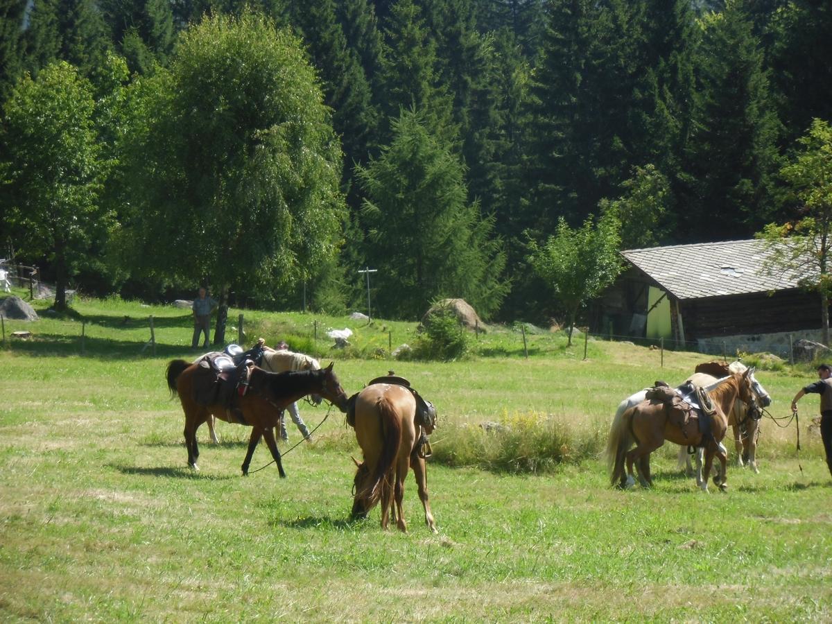 ホテル Locanda La Ruscoletta Telve エクステリア 写真